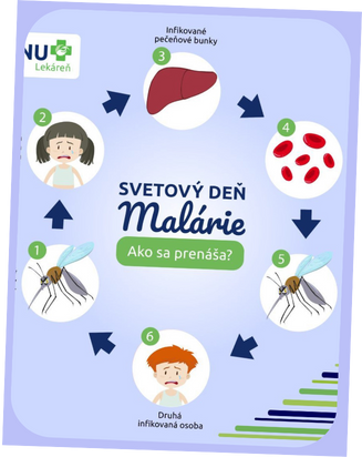 BENU: Ako sme dosiahli organický rast a silné čísla správou sociálnych sietí dizajn bez nazvu 14