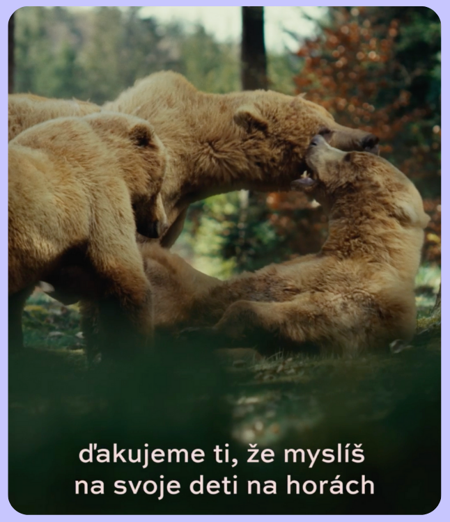 dizajn bez nazvu 4